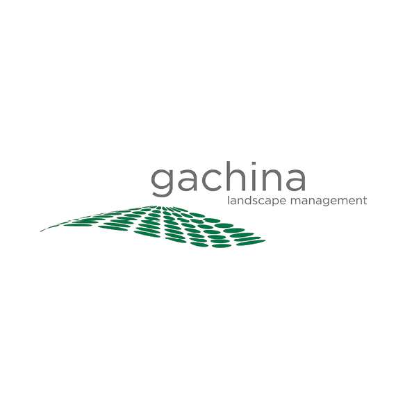 Gachina