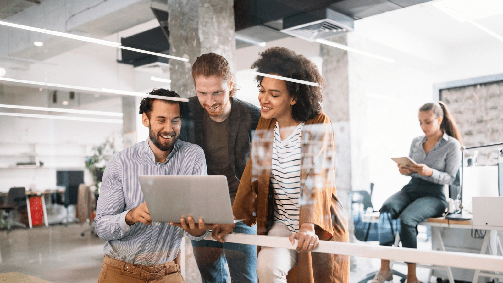 organizations using netsuite