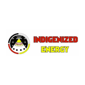Indigenized Energy