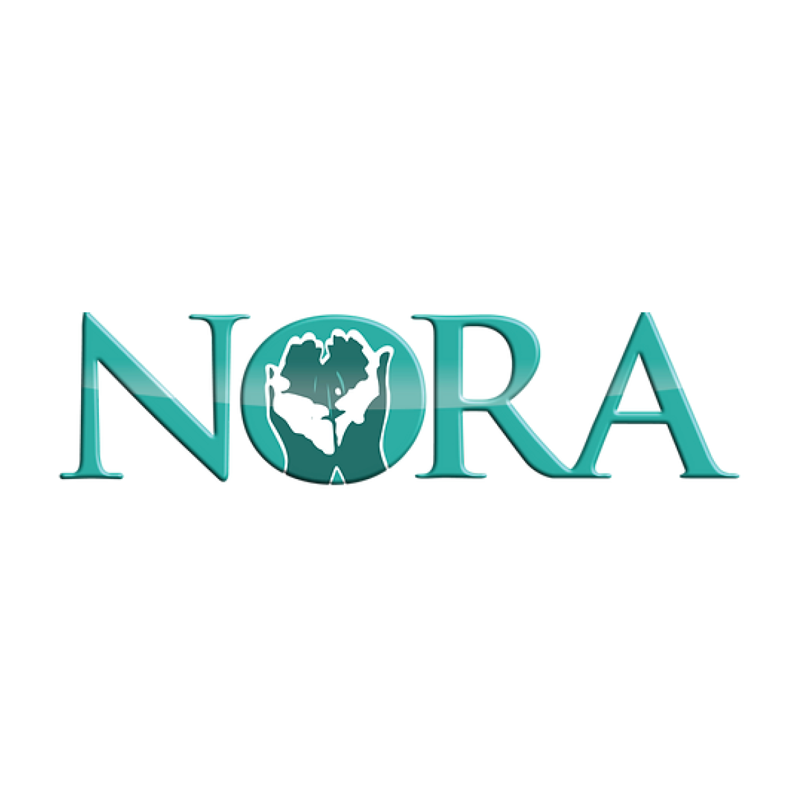 Healthcare-Nationwide Organ Transport Authority Logo